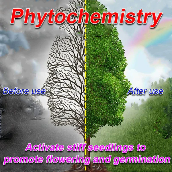 spp_20240425111525_ced1f846219bcf9e3508c44edfea2bb5_93d47b38-7373-410e-b1e3-1d041cd3ce25.webp